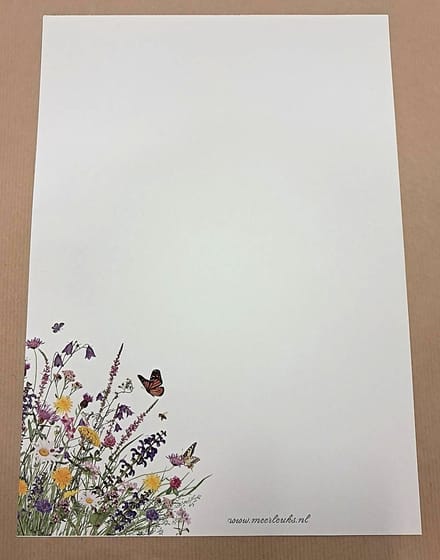 Meer Leuks - Briefpapier - 24 vellen A4 formaat - Nature