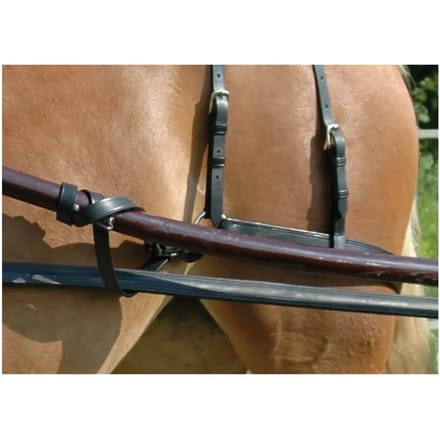 Paardensporen Chetak