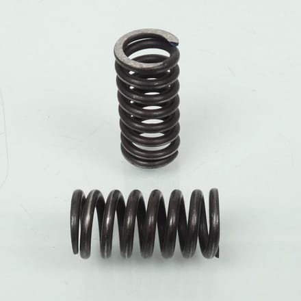 Koppelingsveer Malossi voor motor Gilera 125 RV 295054 Nieuw