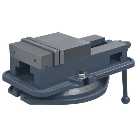 vidaXL - Bankschroef - draaibaar - 160 - mm - gietijzer