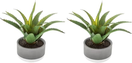 Set van 2x stuks atmosphera kunstplanten in pot van cement 22 cm - Nepplanten