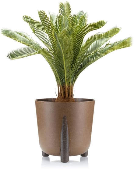 HowHomely Moss ECO - Bloempot - Natuurlijke Houten Pot - Op Nootjes