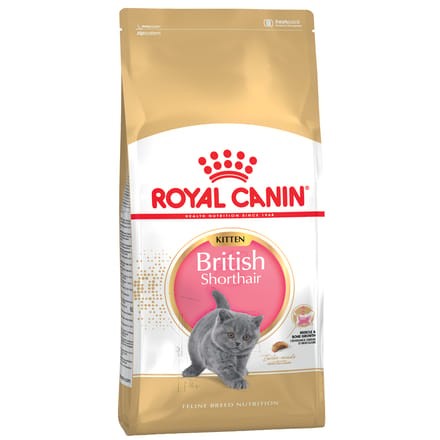 Royal Canin British Shorthair Kitten - 2 kg - Katten Brokken