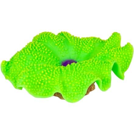 Decoratie aquarium kunstplant anemonentapijt Aqua Della