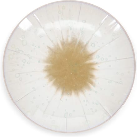S|P Collection Plat bord 18xH3,5cm wit Eclipse (Set van 4)