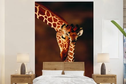 Behang - Fotobehang Portret - Giraffe - Kind - Breedte 170 cm x hoogte 260 cm