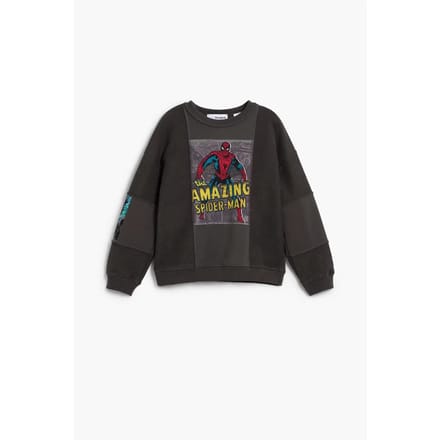 Junior Sweatshirt Desigual Marvel Spider