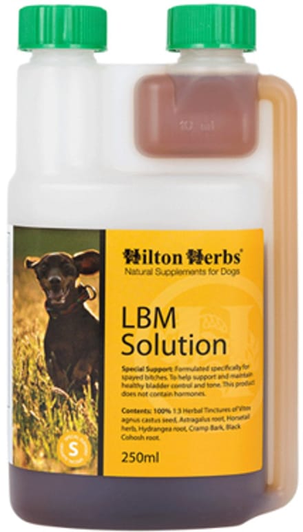 Hilton Herbs LBM Solution for Dogs - 500 ml