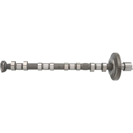 Nokkenas  AE CAM973