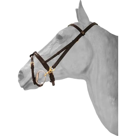 Hoofdstel met anatomische karabijnhaak HFI
