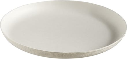 Bagastro Suikerriet Bord Rond Wit/120mm - 40 stuks