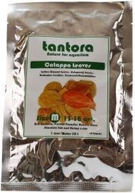 Tantora Catappa bladeren M 10 st.