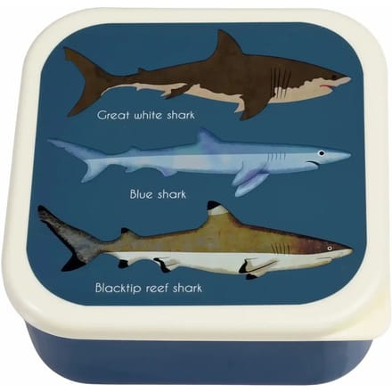 Rex London - Snackdoosjes 'Sharks' - Set van 3