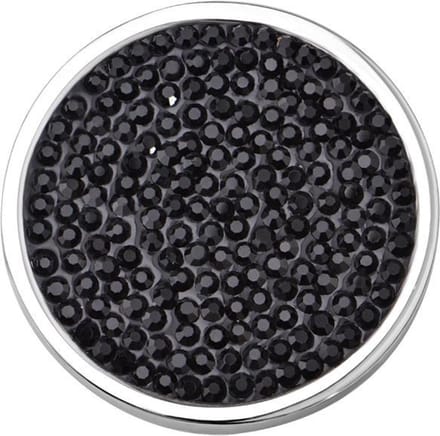 Quiges - Munthouder Munt 25mm RVS met Zirkonia Zwart - EPRS063