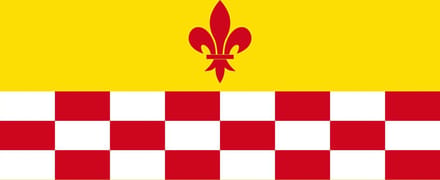 Vlag Rixensart 100x150cm