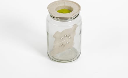 Fermentatie set met speciale deksel met pot.