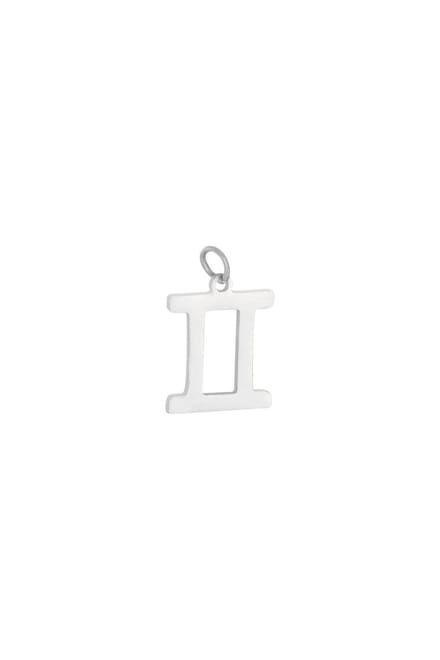 hanger - chinees sterrenbeeld - stainless steel - zilver - kerst