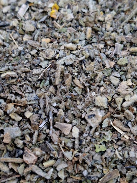 Koningskaars (Verbascum thapsus)50g Gedroogd, gesneden