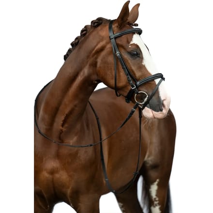 Bitloos hoofdstel voor paarden HKM Jana