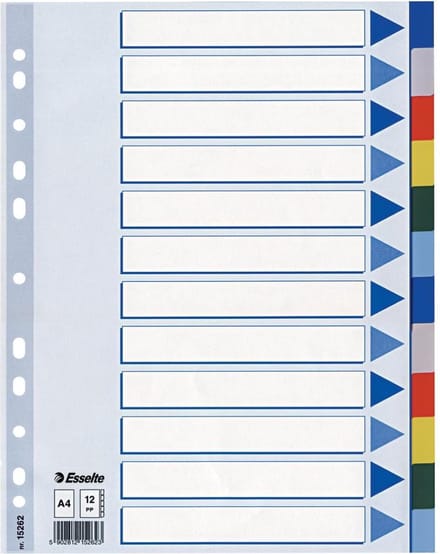 Esselte - divider - 12 parts - for A4 - tabbed - multicolour