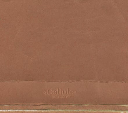 Polymorphie - Cellule (CD)