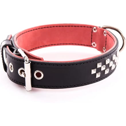 Hondenhalsband van leer Vivog Clou