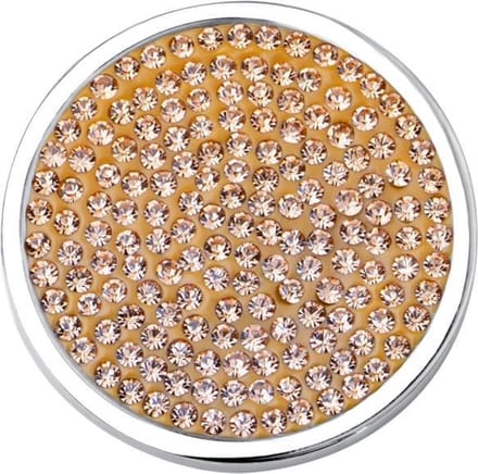 Quiges - Munthouder Munt 25mm RVS met Zirkonia Champagne - EPRS061