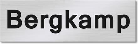 Kirinify - RVS Naambordje voordeur 8 x 2.5 cm met lasergravering - Zelf ontwerpen