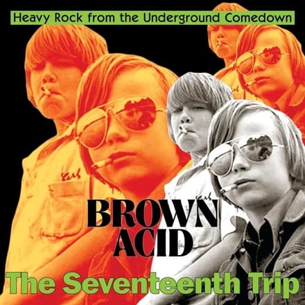 Various Artists - Brown Acid: The Seventeeth Trip (LP)
