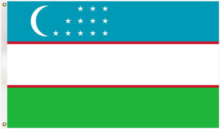Go Go Gadget - Vlag - 90x150cm - Oezbekistan