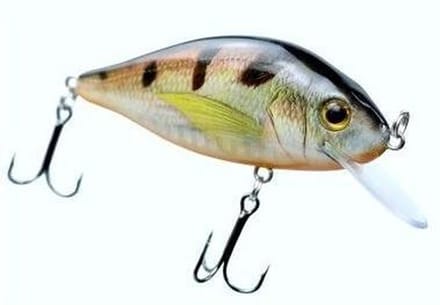 Jerkbait Plug Baars 9 cm - 10 gram
