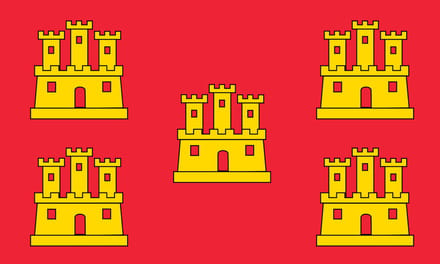 Vlag Poitou 100x150cm