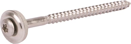 Gevelplaatschroef met Ring - 4,5x100mm - RVS A2 - TX20