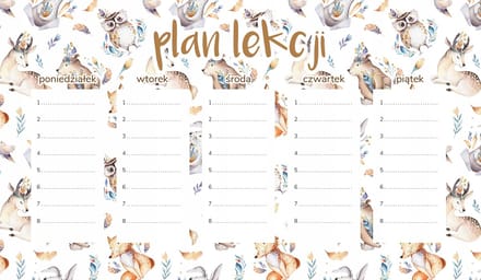 Wallvy Serie - Magnetisch Lesplan - 45x26cm - Personaliseerbaar - Geschikt voor Droog Uitwisbare Markers
