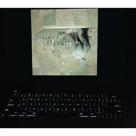 Lambchop - The Bible (2 LP) (Coloured Vinyl) (Limited Edition)