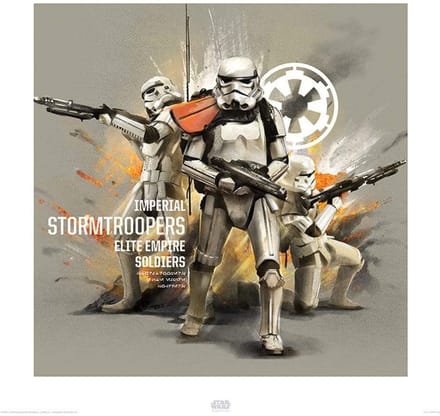 Kunstdruk Star Wars - Rogue One Stormtroopers Profile 40x40cm