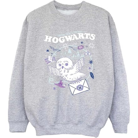 Harry Potter Meisjes Uil Brief Van Zweinstein Sweatshirt (Sportgrijs)