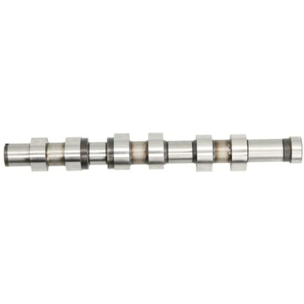Nokkenas  AE CAM923
