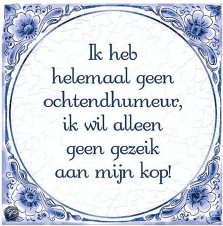 Tegels delfts blauw - Ochtendhumeur