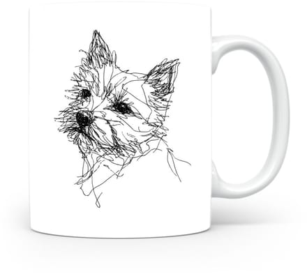 Beker Norwich Terrier