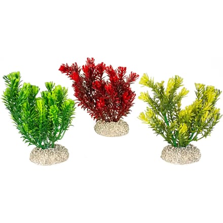 Aquarium planten decoratie Aqua Della Canadensis M