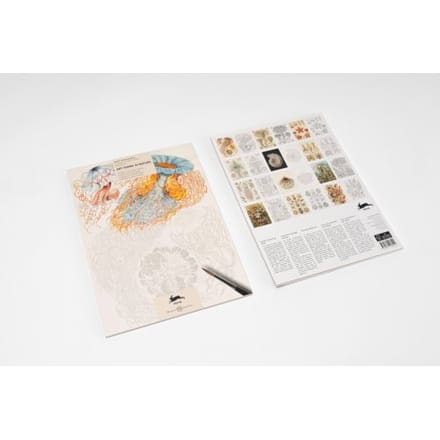 Art Forms In Nature - Artists' Colouring Book - Pepin van Roojen