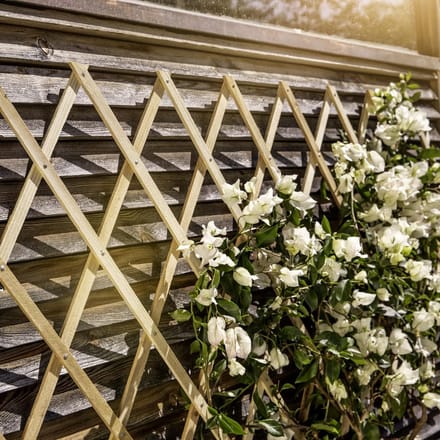 Windhager houten trellis 60 x 180 cm, naturel