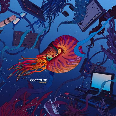 Coccolite - Live Now (CD)