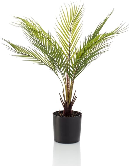 Emerald - Kunstplant Chamaedorea Palm 50cm - Kunstplant voor binnen