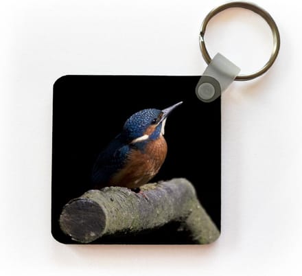 Sleutelhanger - Uitdeelcadeautjes - IJsvogel - Veren - Vogel - Plastic