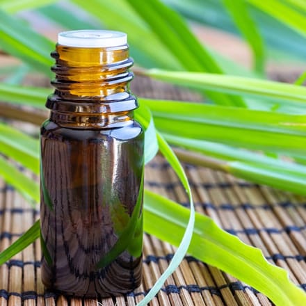 Citronella etherische olie - 30 ml