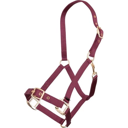 Polypropyleen halster Premiere Equitation