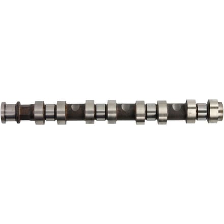 Nokkenas  AE CAM929