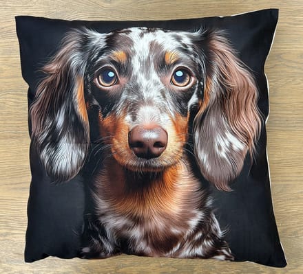 Teckel sierkussen 45x45 cm